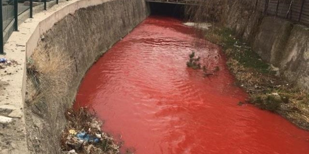 Ankara'da tedirgin eden görüntü