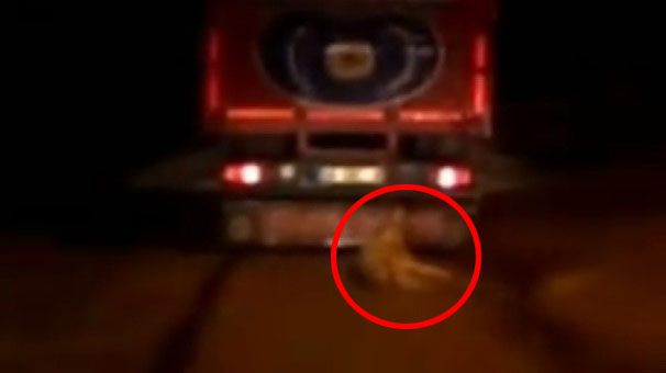 Ankara’da vahşet! Metrelerce sürükledi