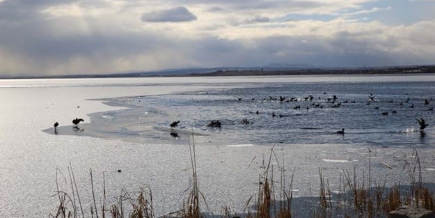 Ankara'da göl buz tuttu!