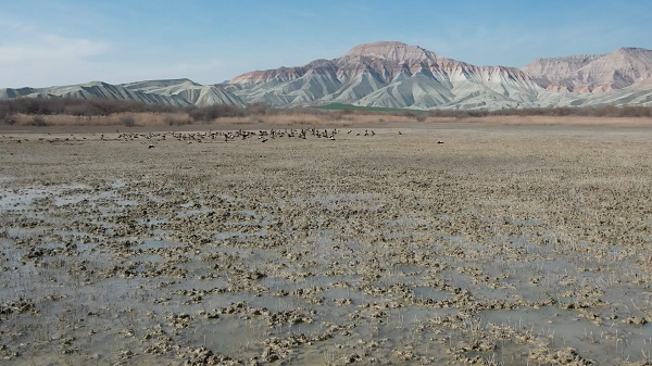 Ankara'nın hayran bırakan manzarası