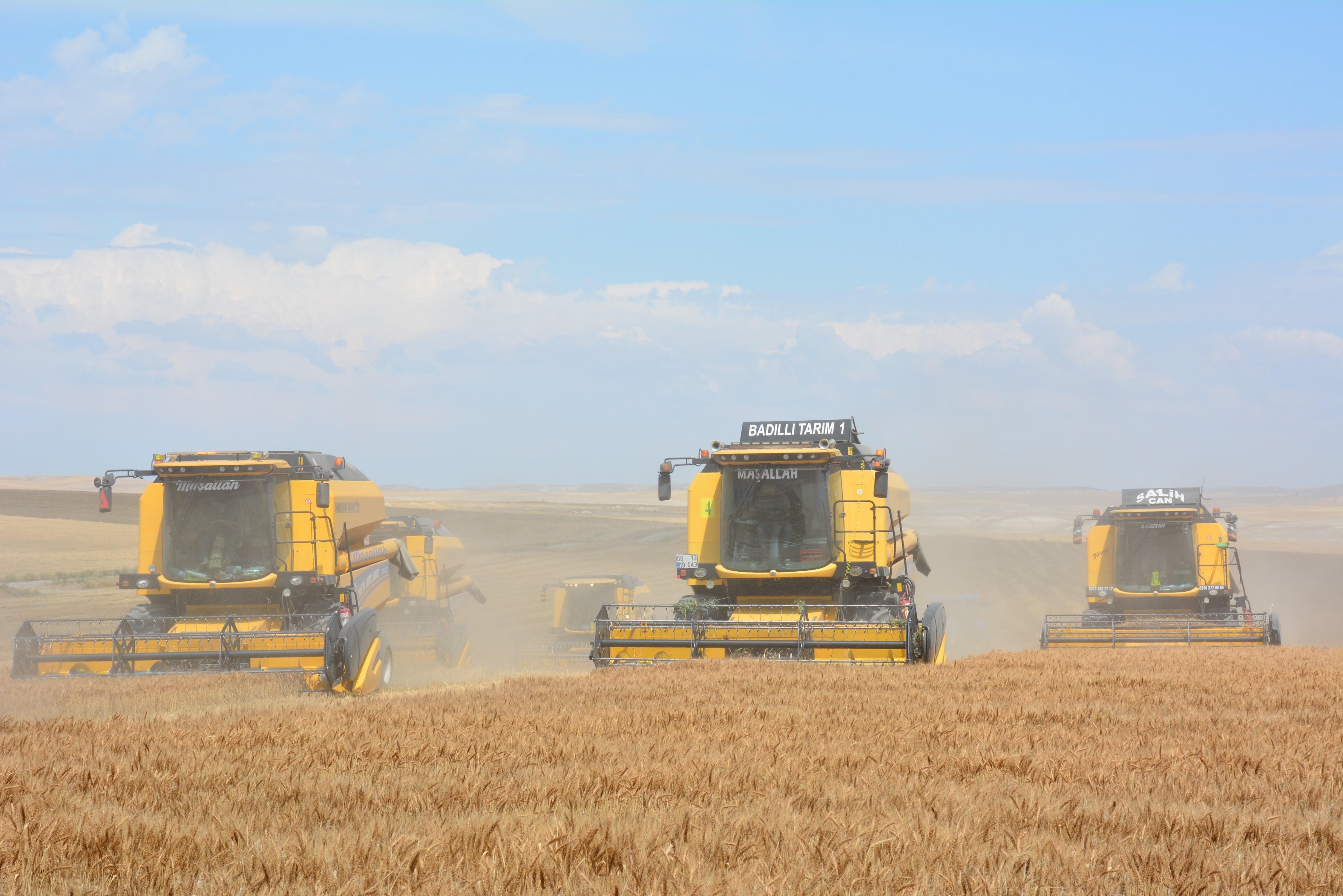 Ankara'nın tahıl ambarında hasat başladı