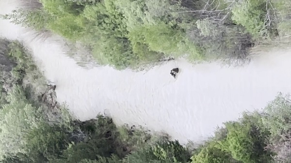 Anne ayının o anları kamerada