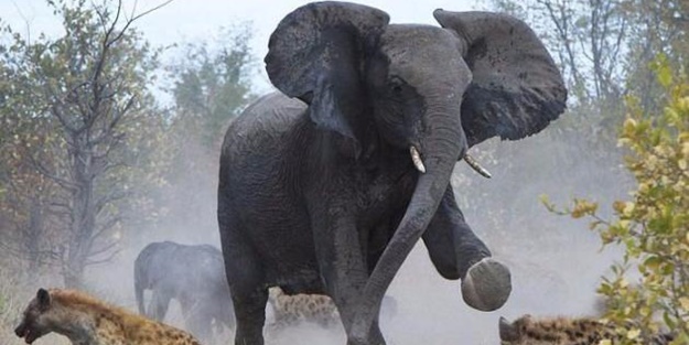 Anne filin dramatik mücadelesi