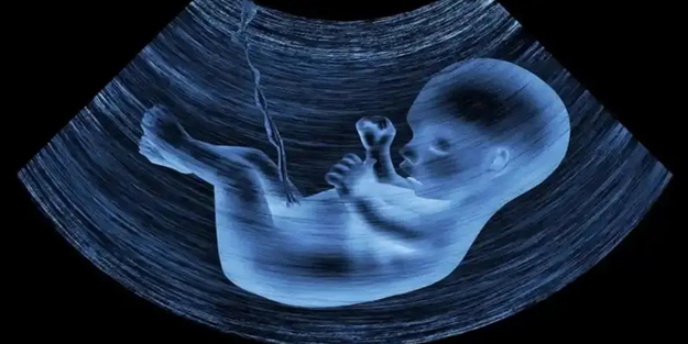 Anne karnındaki bebekler için büyük tehlike!