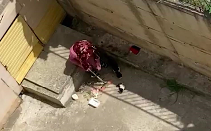 Anne kedi yardım istedi, kuyuya düşen yavrusu böyle kurtarıldı