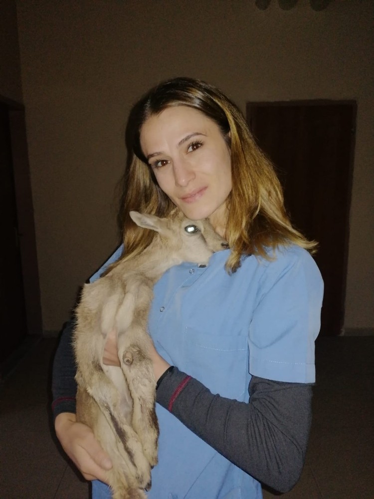Anne şefkatini bayan veterinerde buldu 