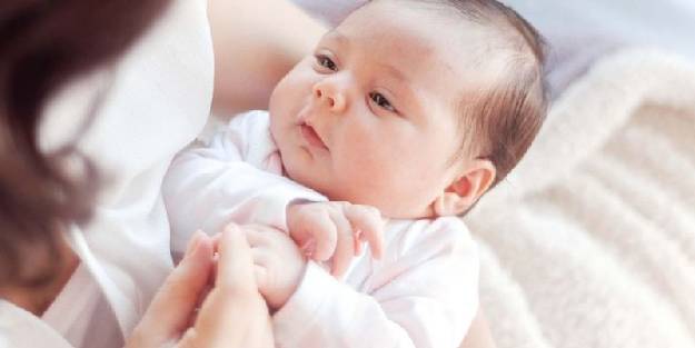 Anne sütünü artıran besinler