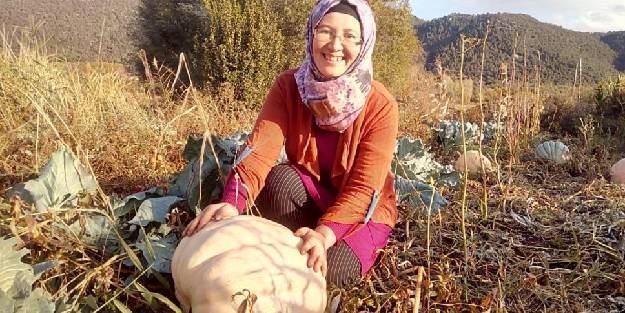 Anneannesinin sandığından çıkan tohumlar bakın ne oldu!