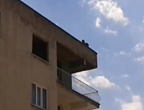 Annesi 'Atla da kurtulayım' diye bağırınca...