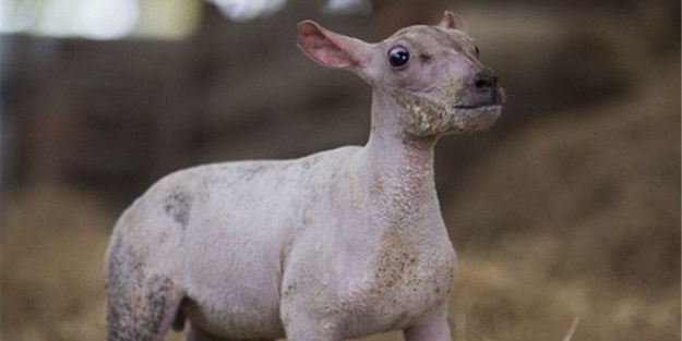 Annesi onu reddetti! Bakın neden... - FOTO