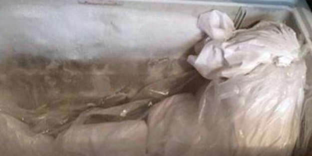 Annesinin cesedini 10 yıl dondurucuda sakladı, savunması daha da ilginç