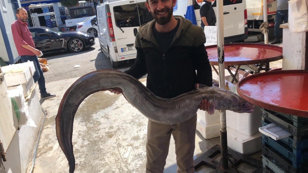 Antalya Körfezi’nden 3 metrelik yılan balığı çıktı 