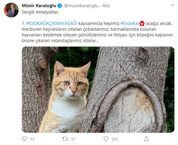 Antalya Valisi’nden evcil ve sokak hayvanları için önemli karar 