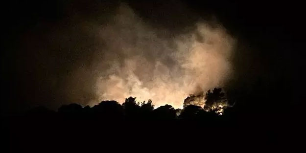 Antalya ve İzmir'de orman yangını