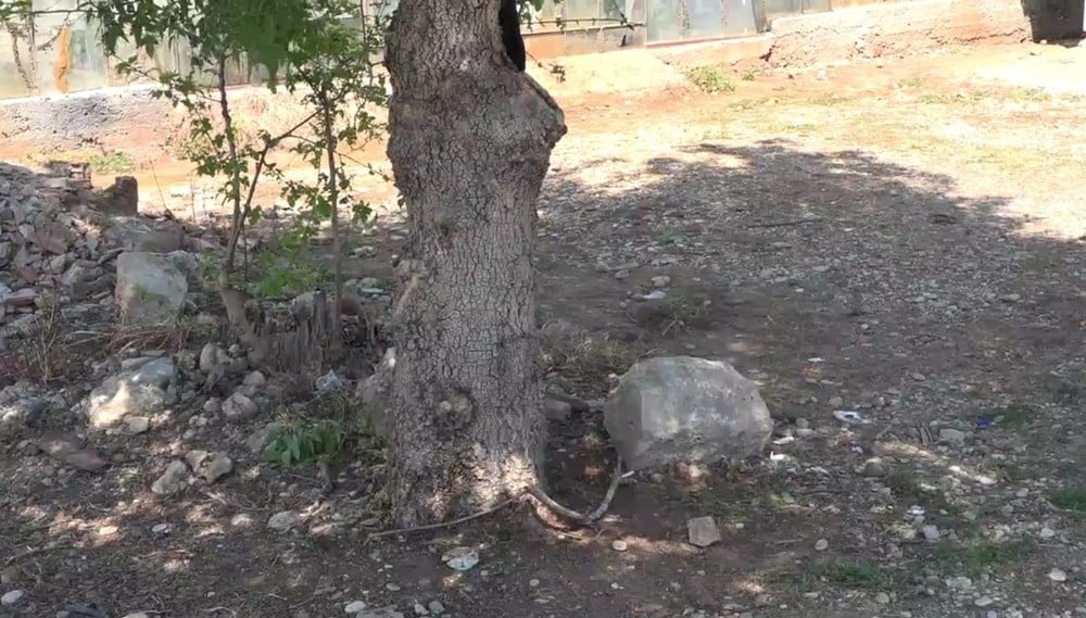 Antalya’da 10 yaşındaki çocuğun feci ölümü 