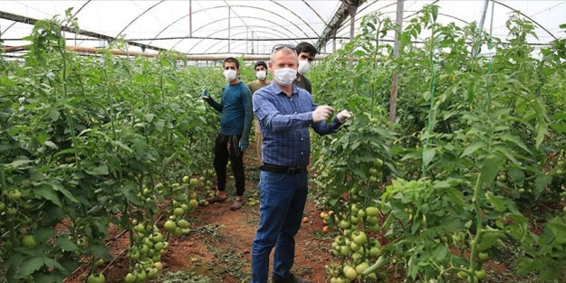Antalya'da 130 bin çiftçi üretime hız kesmeden devam ediyor