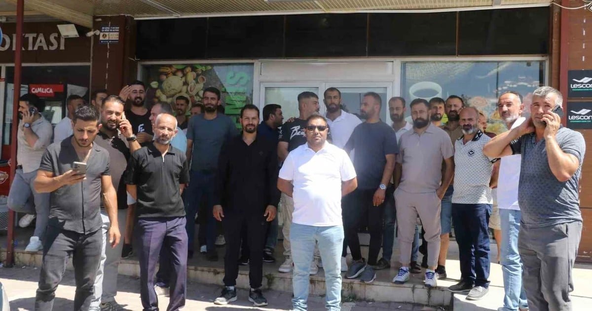 Antalya'da 493 koçan çekle 1,2 milyar TL'lik alım iddiası, şüpheli tutuklandı