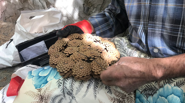 Antalya'da astım hastalığına şifa ararken 83 yaşında meslek sahibi oldu