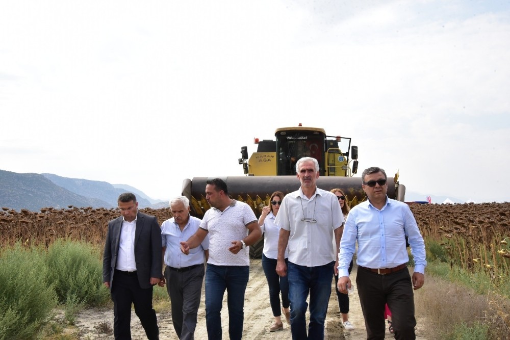 Antalya’da Ayçiçeği Tarla Günü yapıldı 