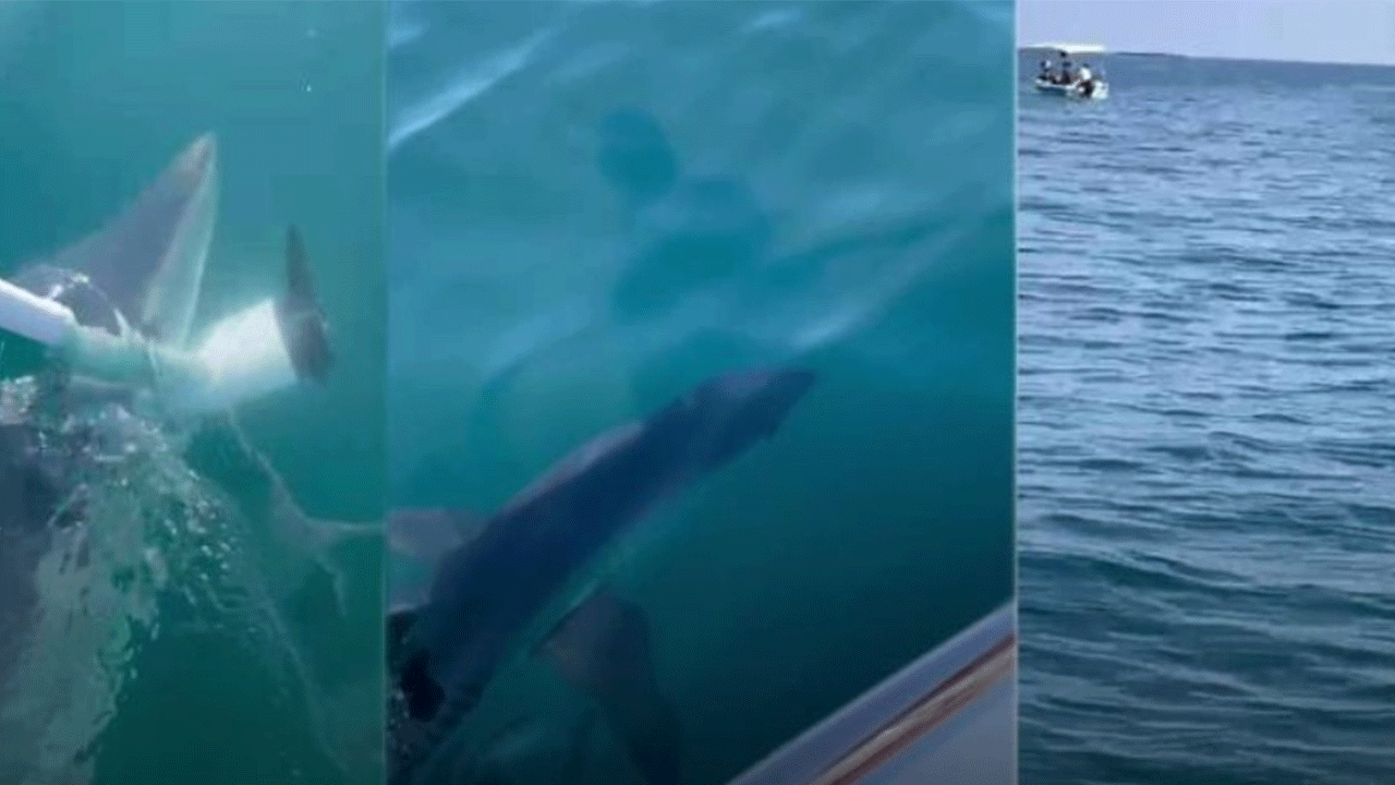 Antalya'da balık tutmak isterken hayatının şokunu yaşadı!