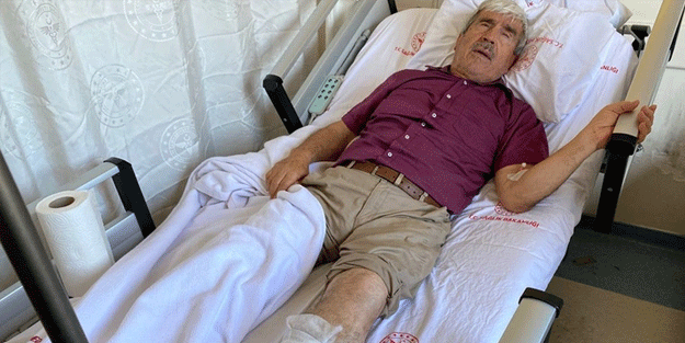 Antalya'da bir köpek saldırısı daha!