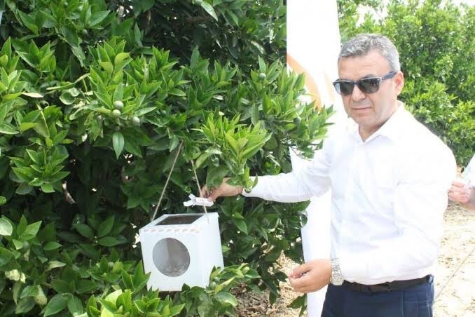 Antalya’da biyolojik mücadele için 8 bin 607 tuzak dağıtıldı 