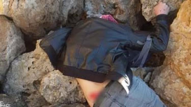 Antalya’da bu halde bulundu!