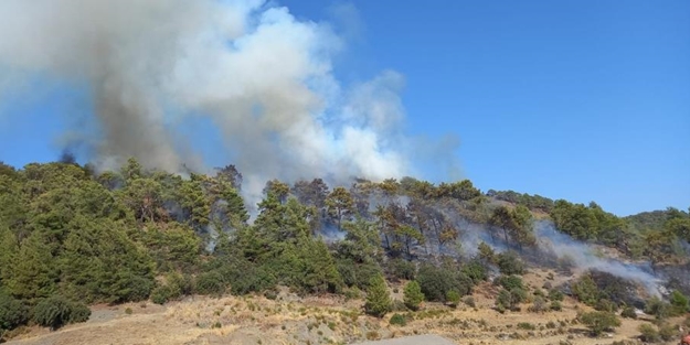 Antalya’da çıkan orman yangını kontrol altına alındı