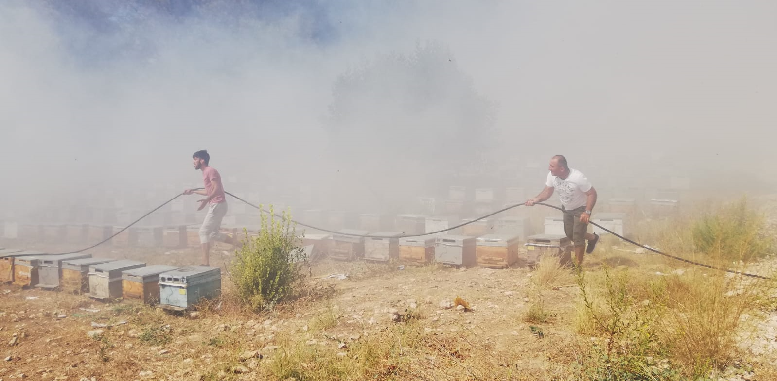 Antalya'da hareketli saatler