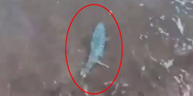 Antalya'da korku dolu anlar!