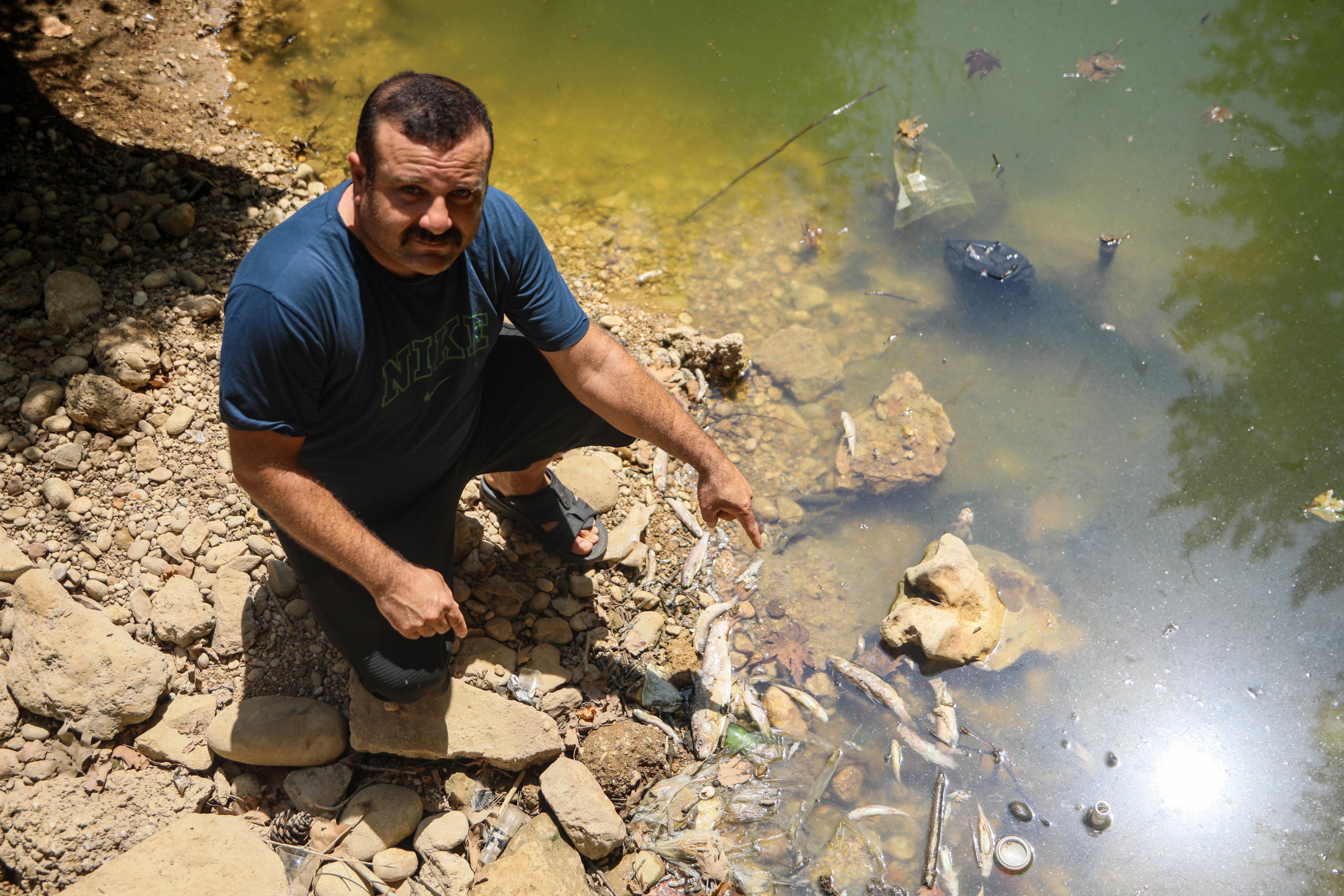 Antalya’da derede kirlilik faciası! yüzlerce balık öldü