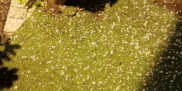 Antalya'da doludan kaçan araçlar akaryakıt istasyonlarına sağındı