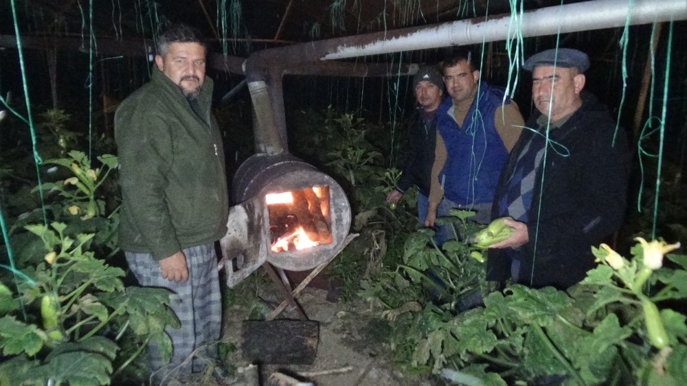 Antalya’da eksi 2’yi gören üretici seralarda don nöbetine başladı 