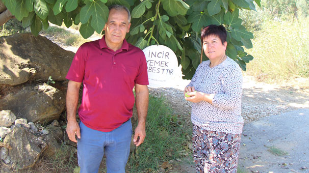 Antalya''da incirlerinden kimse yemeyince bahçesine tabela astı
