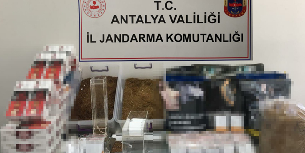 Jandarmadan makaron baskını! 1 gözaltı