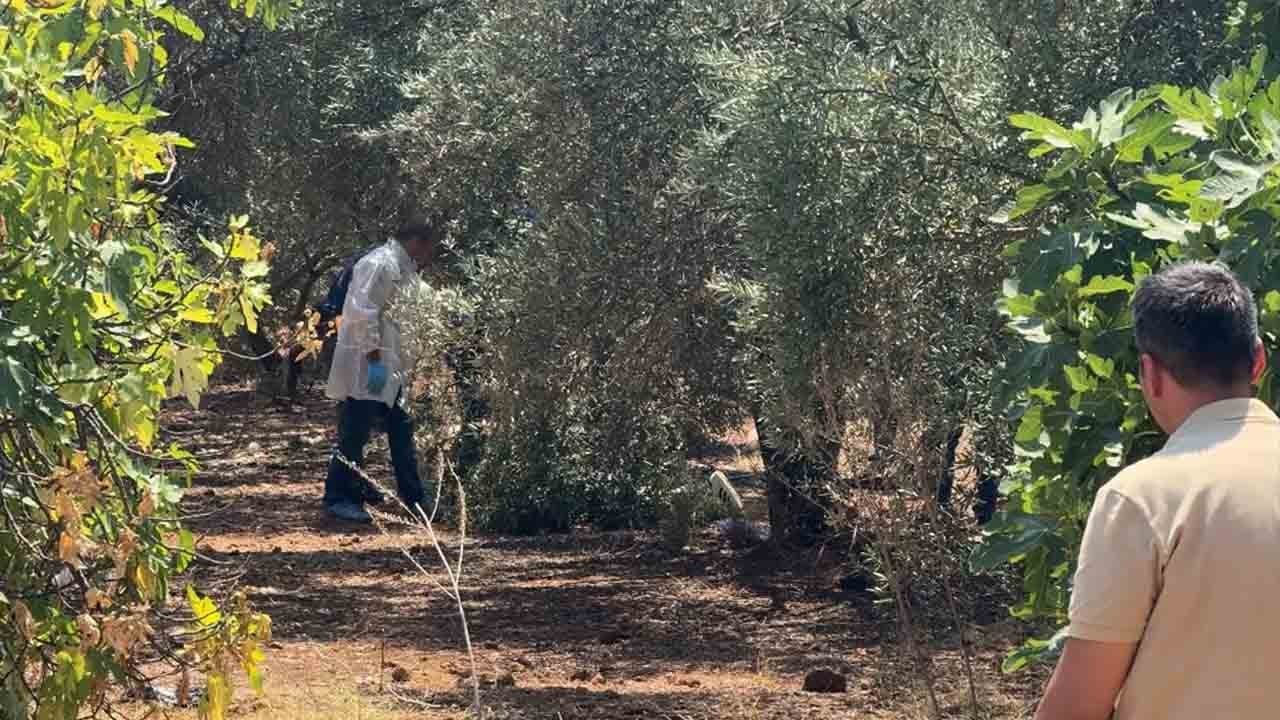 Antalya'da korkunç infaz: 25 yaşındaki genç zeytinlikte ölü bulundu