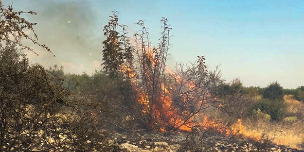Antalya'da korkutan olay: RC uçak düştü, alanı alevler kapladı!