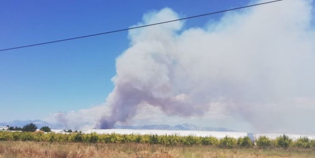 Antalya'da korkutan orman yangını