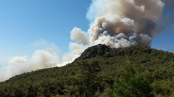 Antalya'da korkutan orman yangını