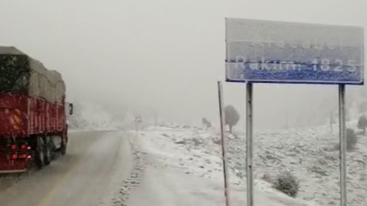 Antalya’da nisan karı sürprizi