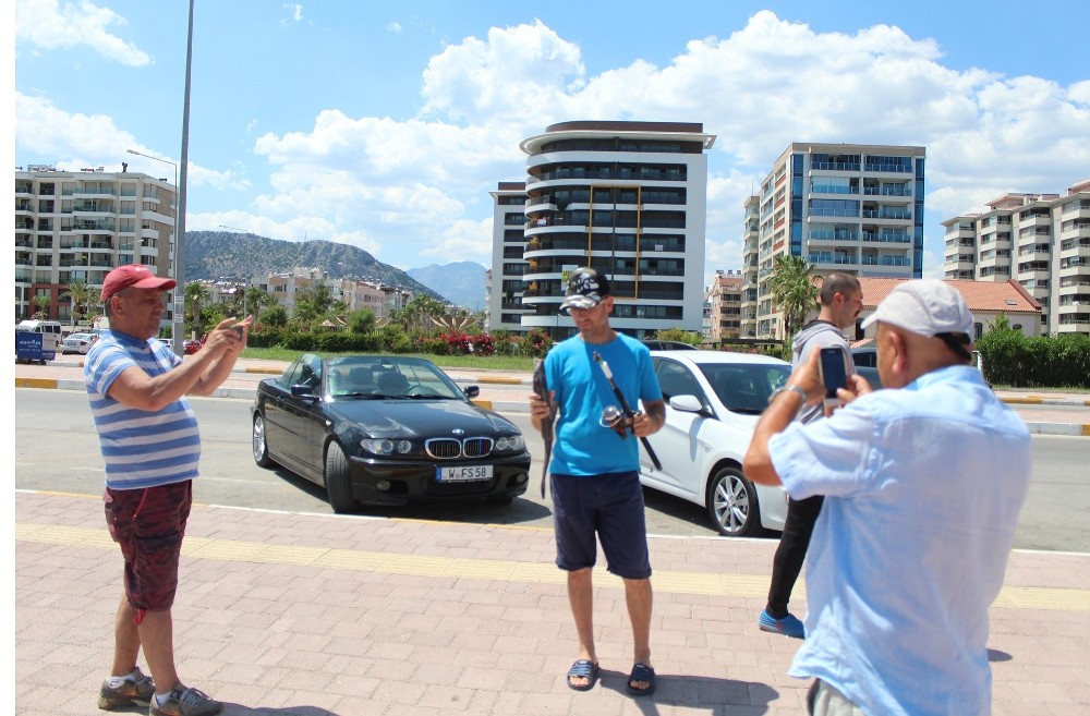 Antalya’da oltaya takılan vantuz balığı şaşkınlığı 