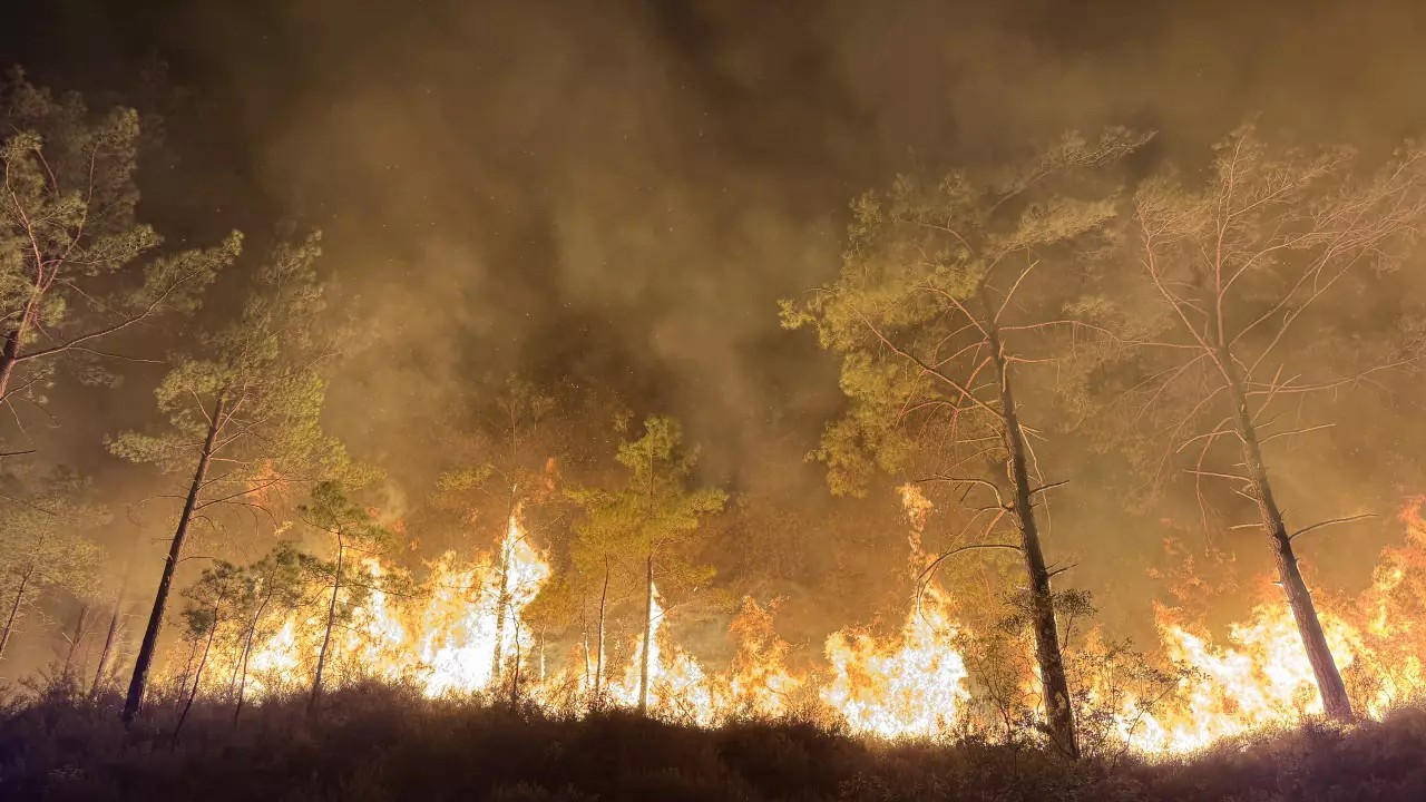 Antalya'da orman yangını! Bakan Yumaklı ve Valilik'ten peş peşe açıklama!