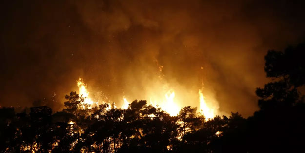Antalya'da orman yangını çıktı