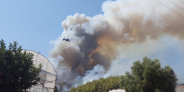 Antalya'da orman yangını