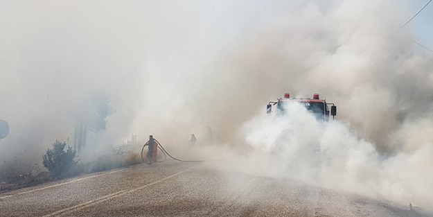 Antalya'da orman yangını!