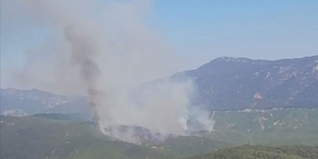 Antalya'da korkutan orman yangını!