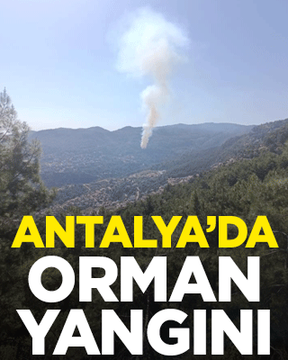 Antalya’da orman yangını