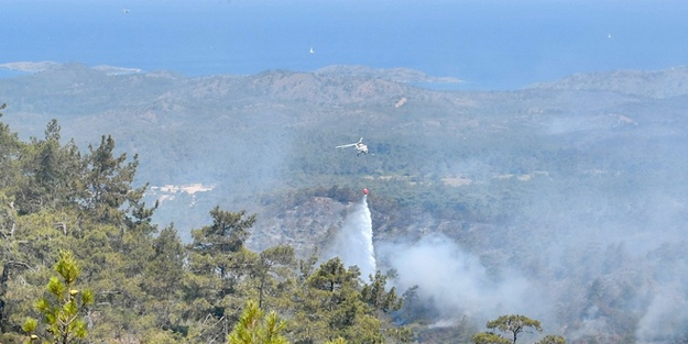 Antalya'da orman yangını
