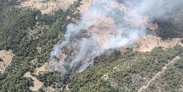 Antalya'da orman yangını!