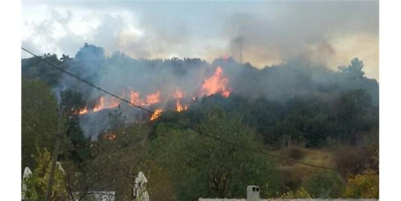 Antalya'da orman yangını kontrol altına alındı